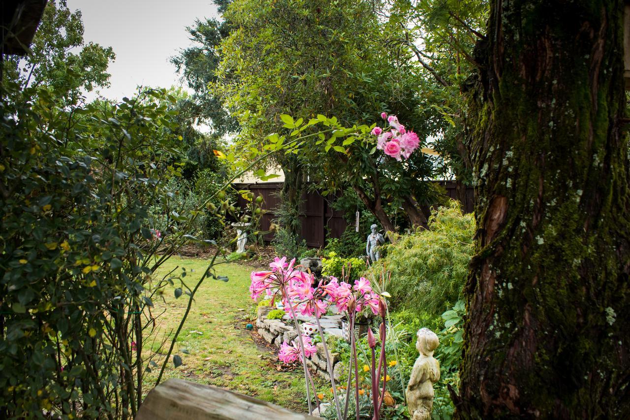 Holland House Bed & Breakfast เนลสัน ภายนอก รูปภาพ